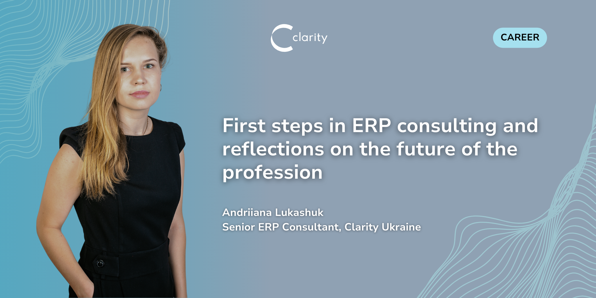 First steps in ERP consulting and reflections on the future of the profession